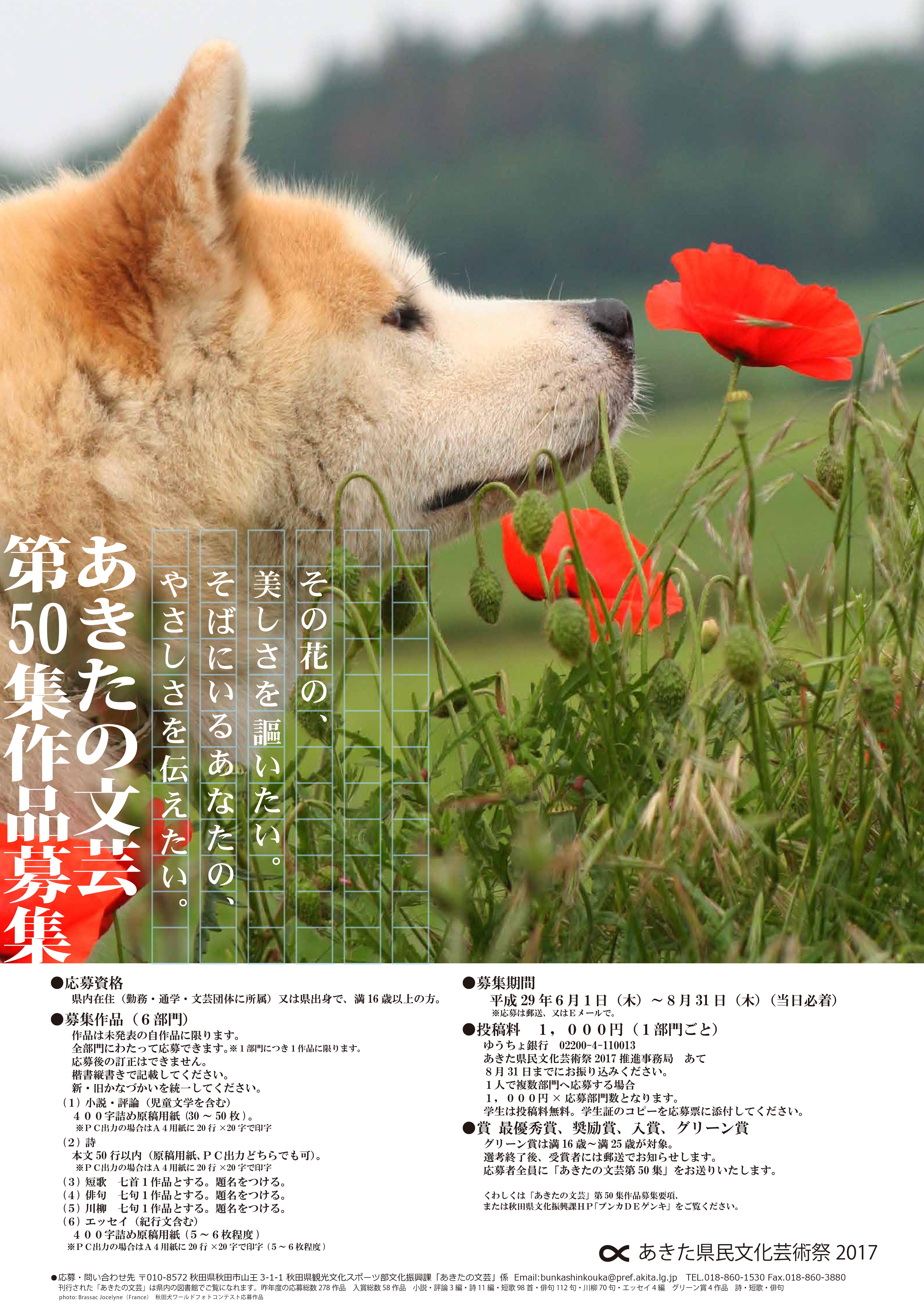 inu