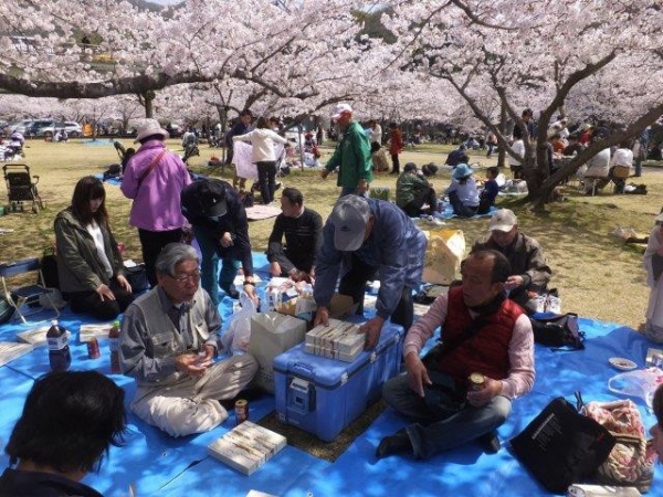 観桜会を開催しました!!