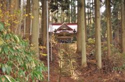 画像:古四王神社の杉（檜山神社）