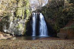 画像:白瀑神社とみこしの滝浴び