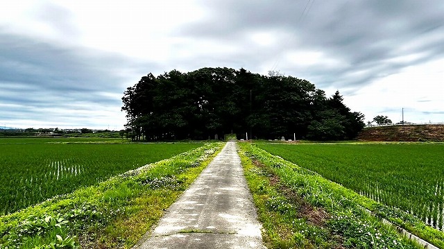 参道から神社を望む