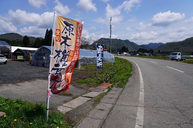 写真：のぼり旗
