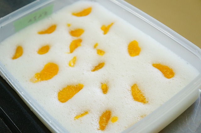 写真：牛乳寒天液