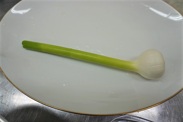 写真：八木にんにく