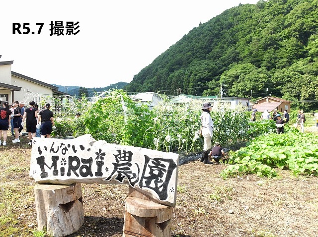 写真：いんない未来農園