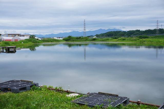 写真：やぶれ沼