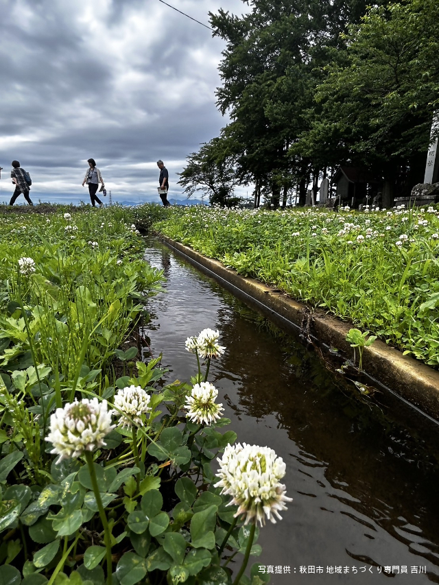 写真：四ツ小屋神明社の前を流れる用水路