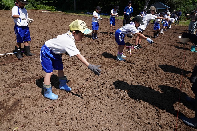 写真：種まきする子どもたち