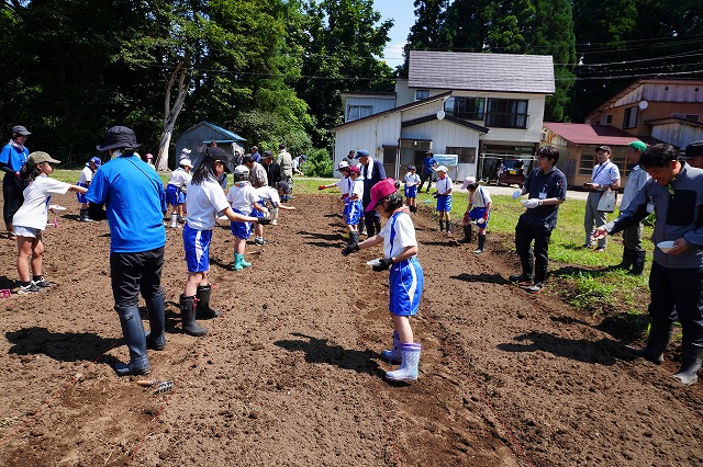 写真：皆で種まきする様子