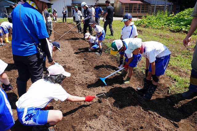 写真：土をかぶせていく子どもたち