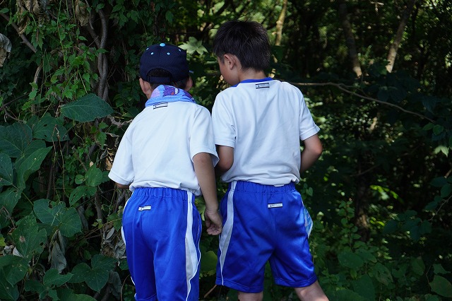 写真：虫をさがす男子