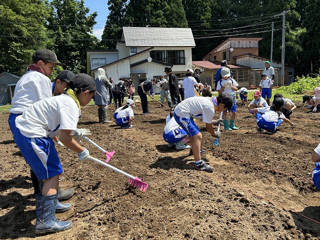 写真：土をかぶせる子どもたち
