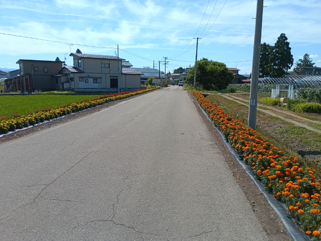 写真：木下地域の花壇