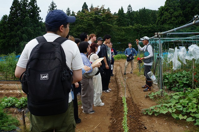 写真：まちあるきの様子