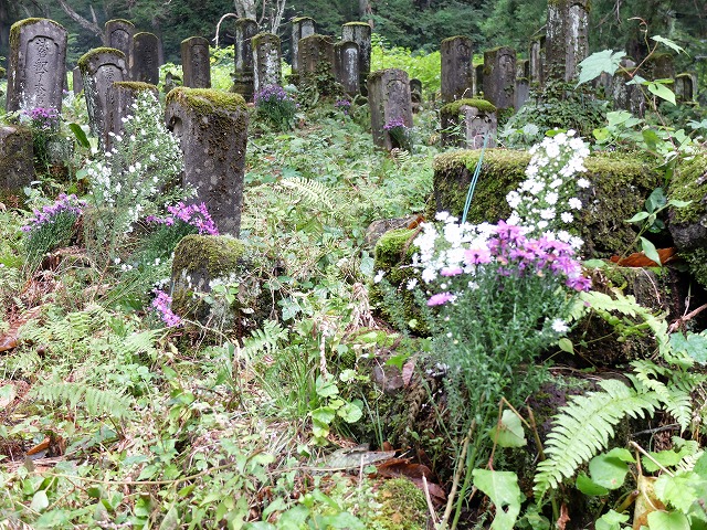 写真：お墓に供えられている花