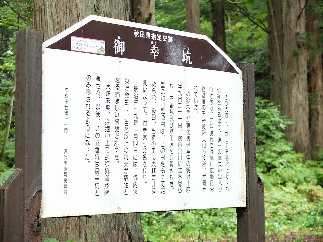 写真：神社参拝するツァー客