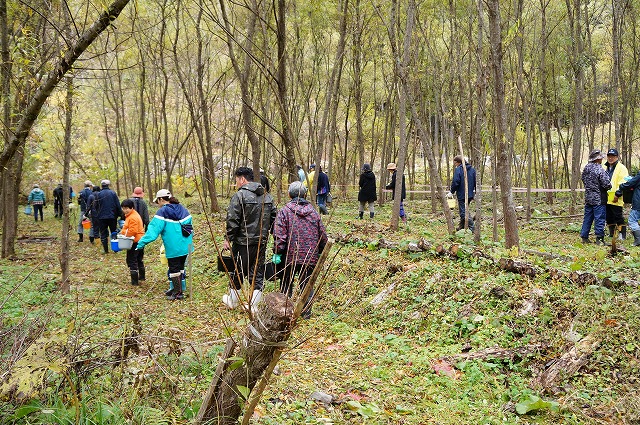 写真：収穫に向かう参加者たち
