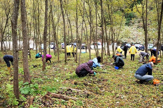 写真：なめこを収穫する参加者