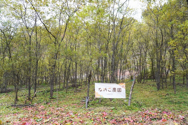 写真：なめこ農園外観