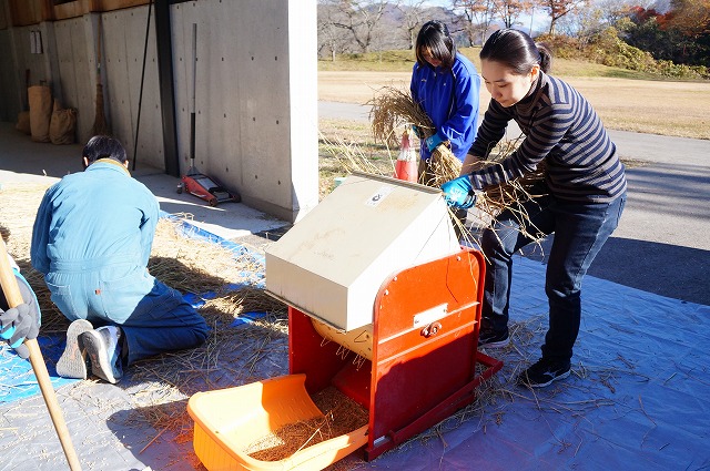 写真：脱穀する様子