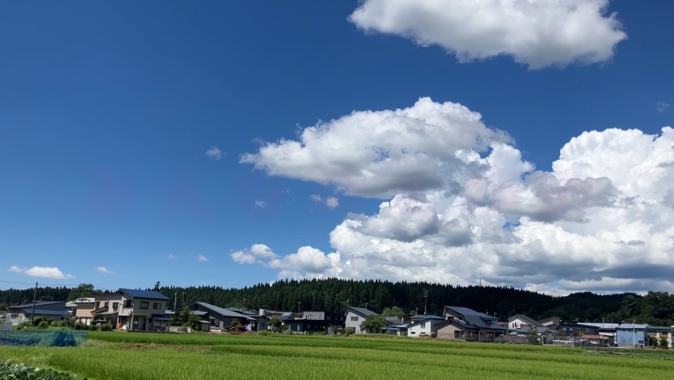 写真：初夏の前野地域の風景