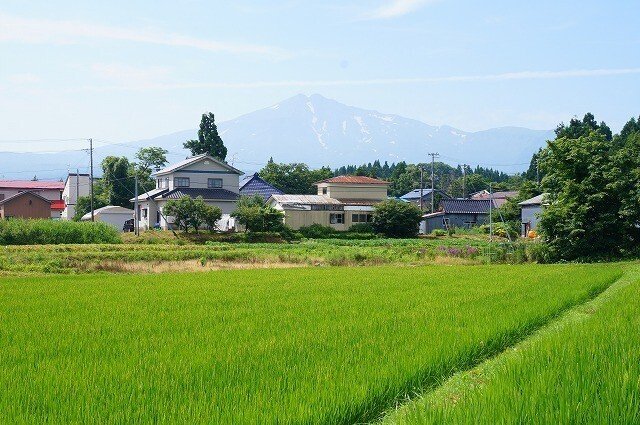 写真：夏の集落の風景
