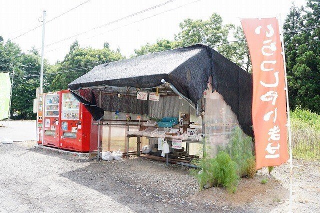 写真：無人直売所