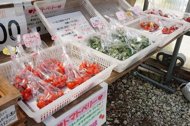 写真：直売所内の商品