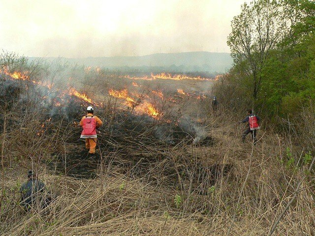 冬師湿原、春の野焼き