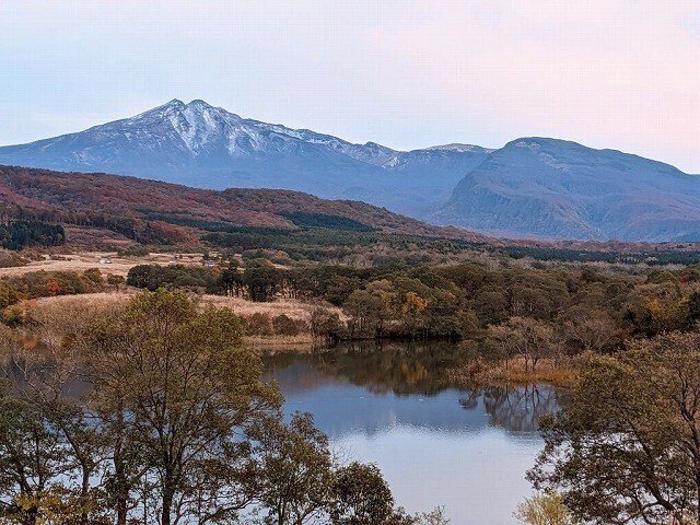 紅葉の季節の冬師湿原から望む鳥海山