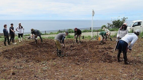 日本海を見下ろす場所に位置する耕作放棄地