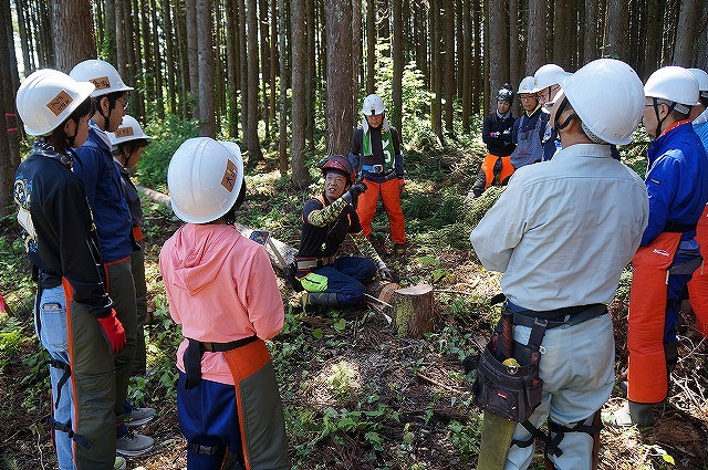 写真　伐倒の説明