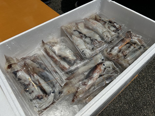 写真　魚屋さん３