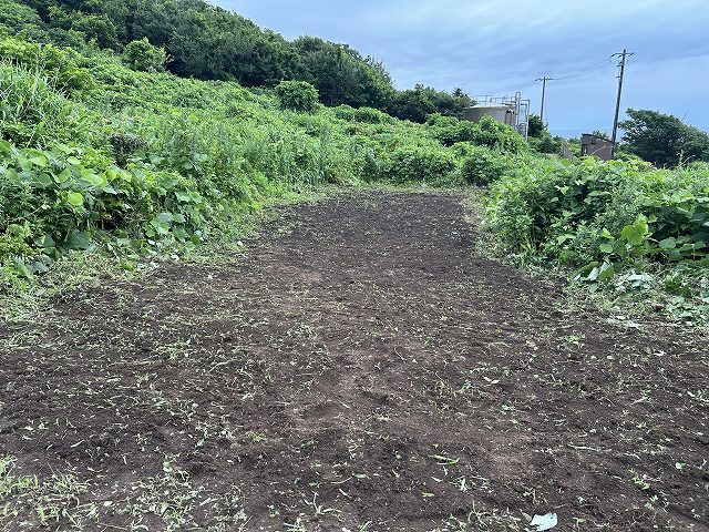 開墾後