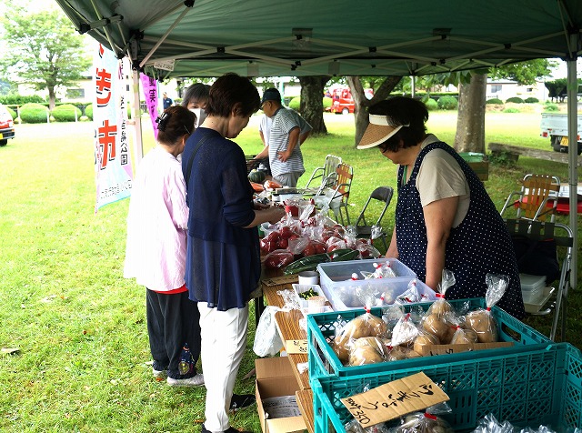 写真　とれたて野菜