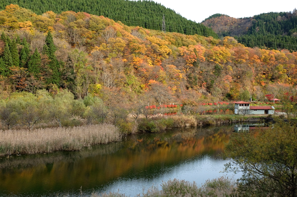 画像：南沢地域の紅葉