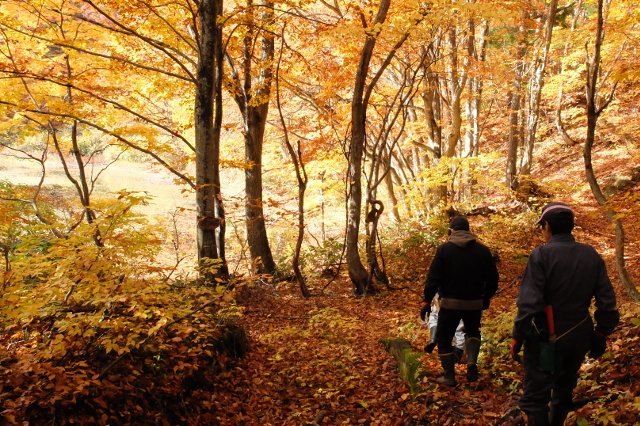 画像：若畑集落の紅葉