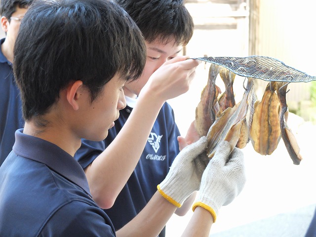 作業している様子