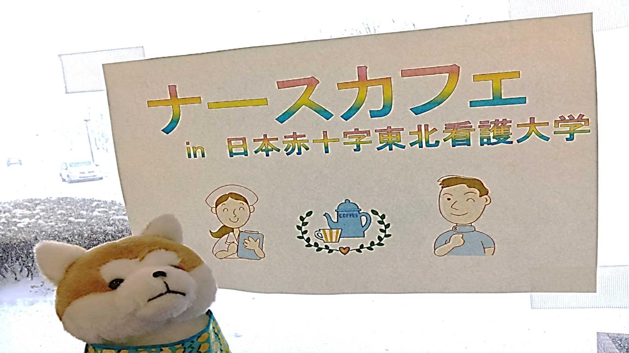 犬の写真（ようこそ）