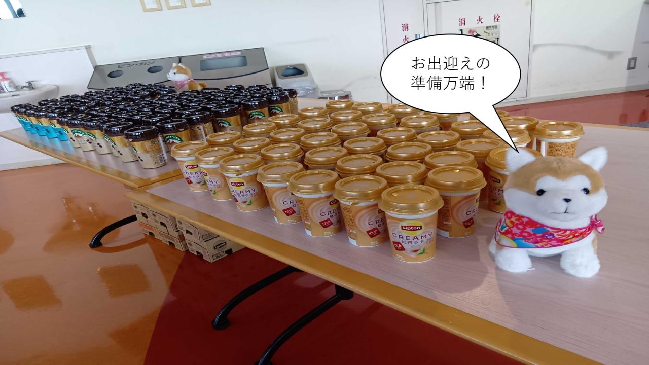 犬の写真（飲み物を添えて）