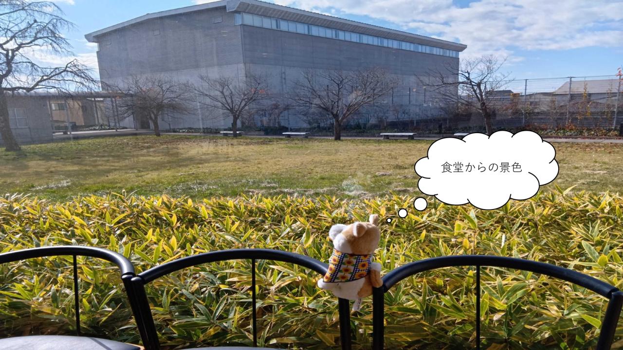 犬の写真（食堂からの景色）