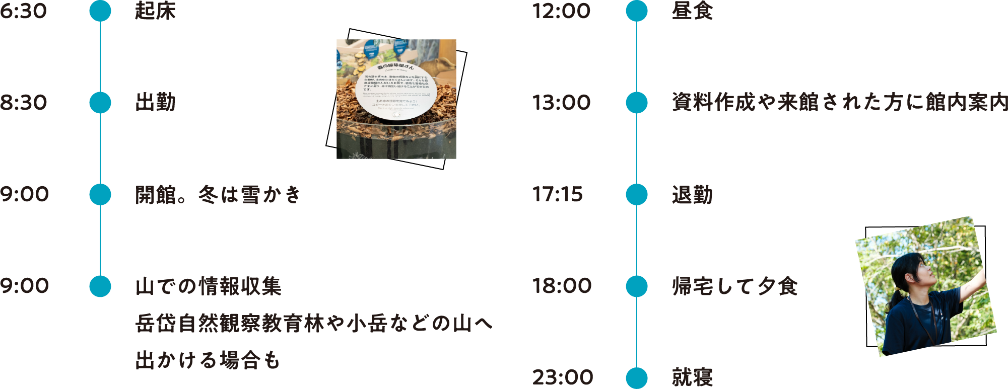 平日のスケジュール