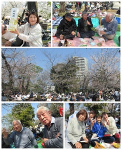 今年も飛鳥山でお花見しました