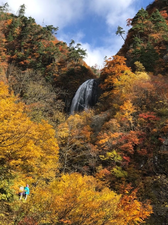 やっと、やっと！！「安滝林道」が通行可能に。間近で『安の滝』を拝観できます！ ～あきた未来戦略課・交流推進員～