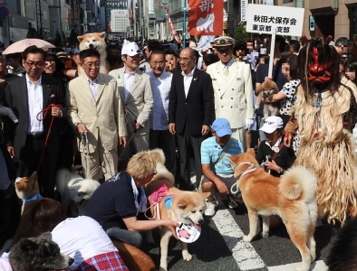 秋田県・大館秋田犬＆男鹿なまはげフェアが開催されました！