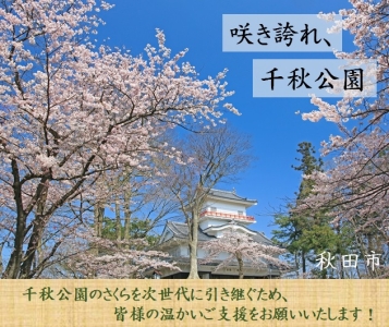 【第２弾】千秋公園のさくらを次世代に引き継ぐため、クラウドファンディング型ふるさと納税を活用して寄附を募ります
