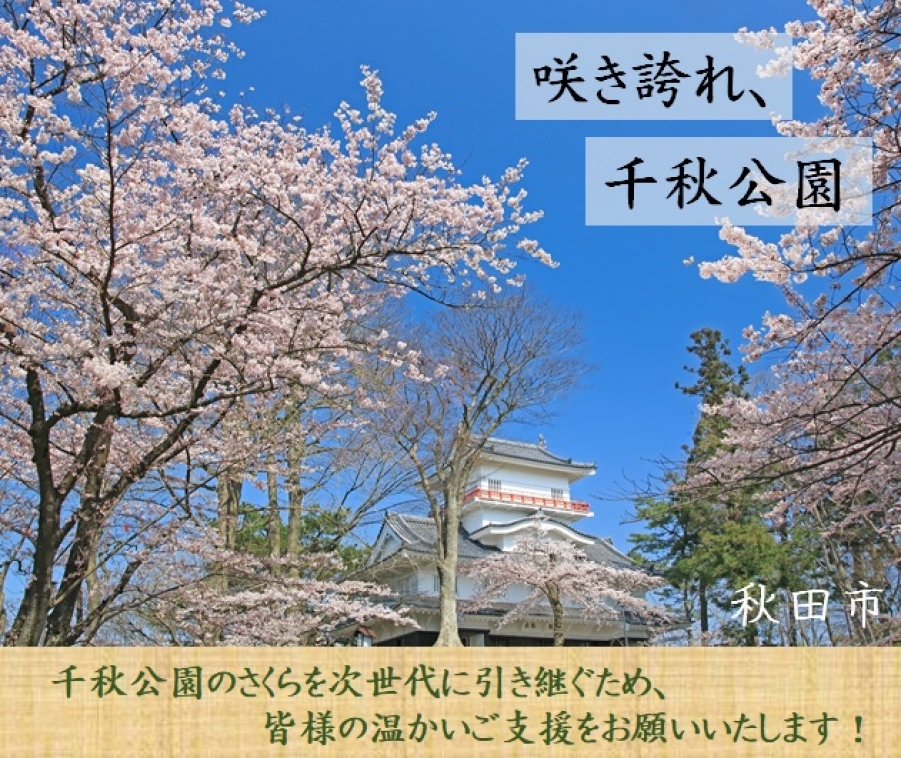 【第２弾】千秋公園のさくらを次世代に引き継ぐため、クラウドファンディング型ふるさと納税を活用して寄附を募ります
