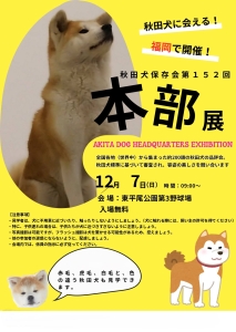  2025年12月、福岡市で秋田犬・全国本部展