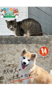 【受付開始】犬猫の殺処分ゼロを目指して、クラウドファンディング型ふるさと納税を始めます！