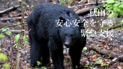 ふるさと納税の寄附の受付を開始しました～県民の安全安心を確保する対策を強化し「人とクマの健全な共存」を秋田から～